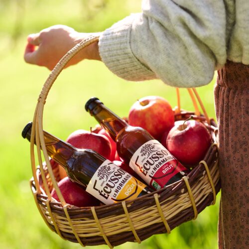 ecusson-avril.26-vergers-1_MLG (1)